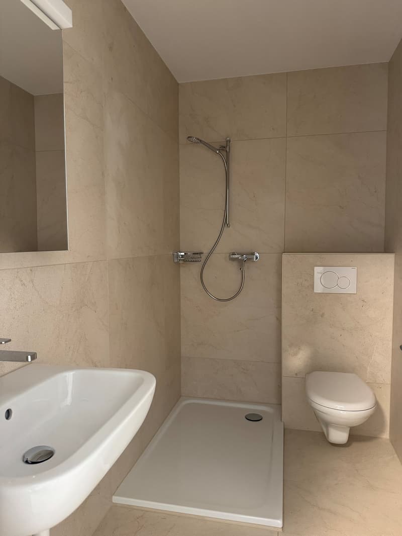 Totalsanierte Wohnung mit Naturblick (3)