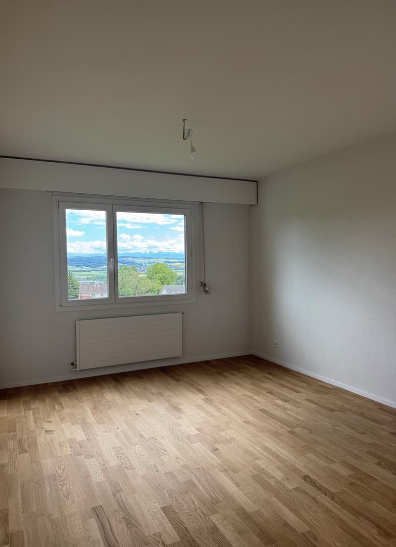 Totalsanierte Wohnung mit Naturblick (5)