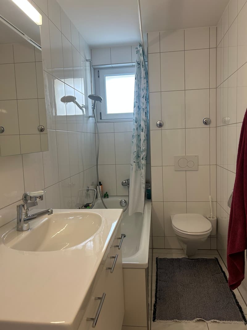 Gemütliche und helle 3-Zimmer-Wohnung in Urtenen-Schönbühl (8)