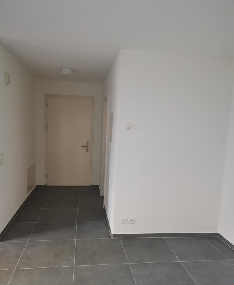 Wohnung mit schöner Terrasse (6)
