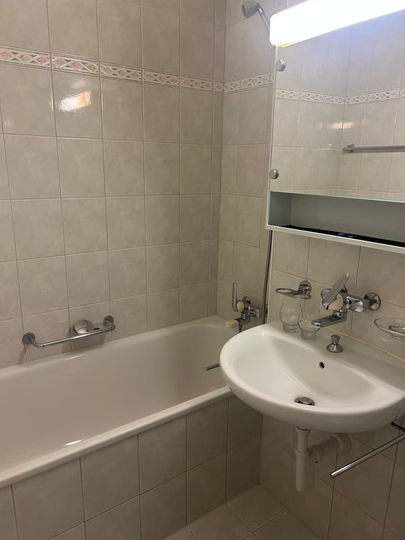 Gemütliche 4-Zimmer-Wohnung in Zofingen (3)