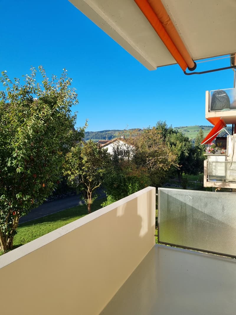 3-Zimmer-Wohnung mit sonnigem Balkon (9)