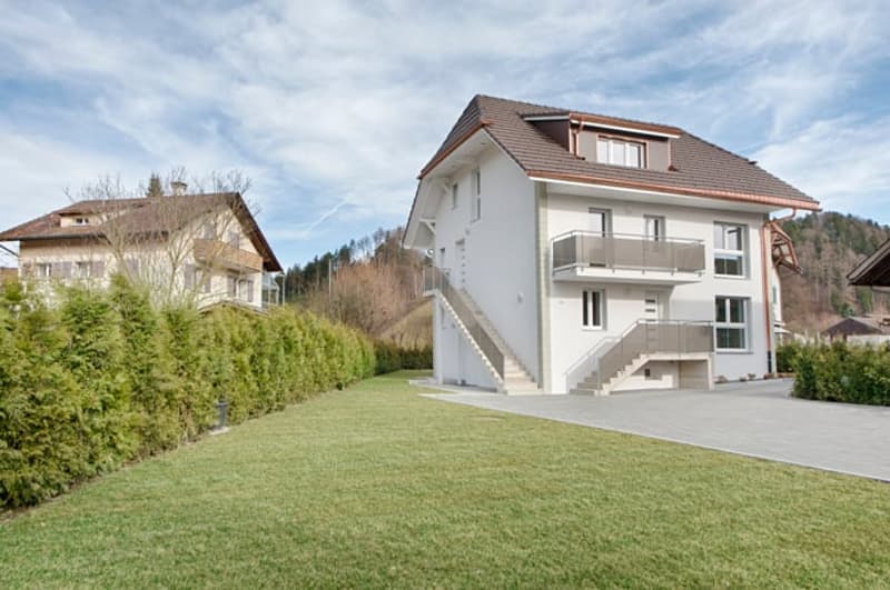 Aussenansicht / Rasenfläche
