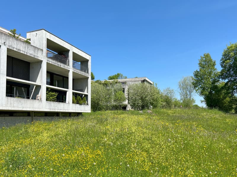 Architekturjuwel: Eigentumswohnung mit Einfamilienhausfeeling an Bestlage in Bremgarten (2)