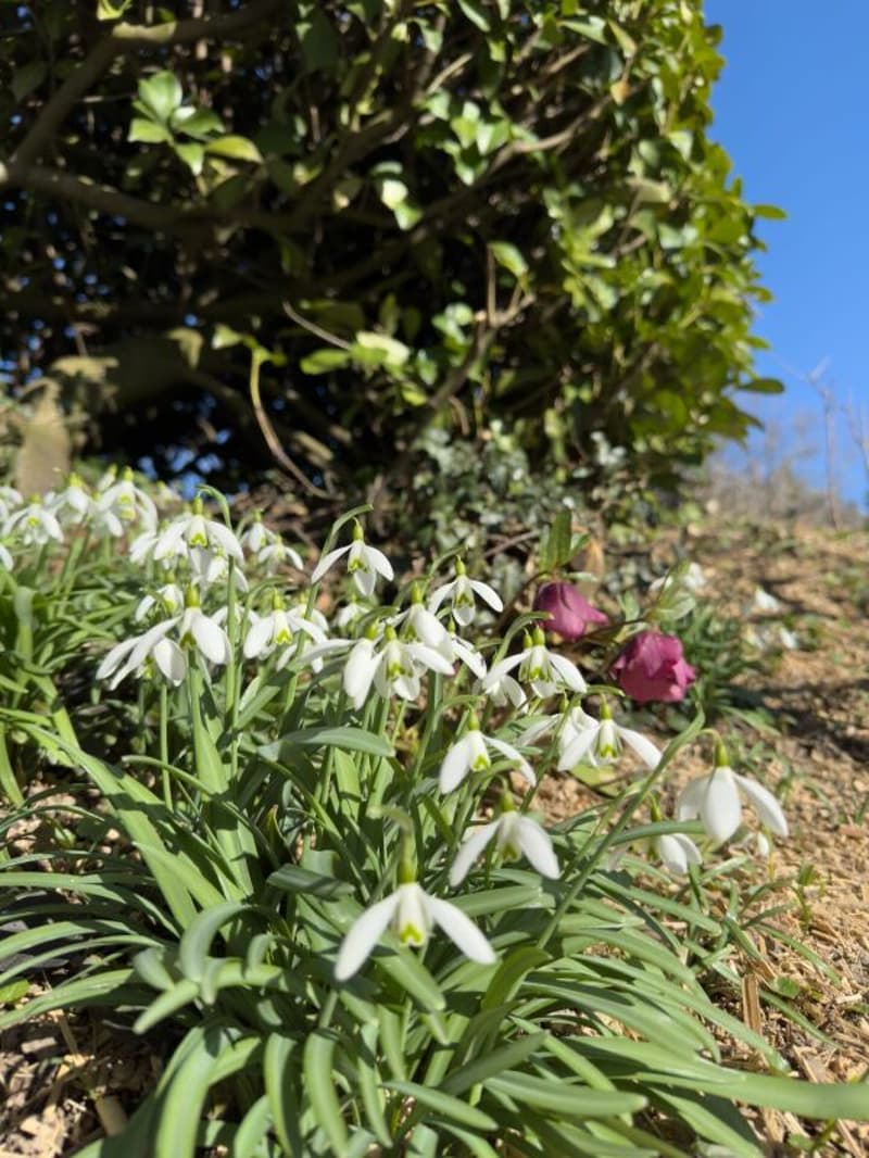 Freistehendes 7-Zimmer-Einfamilienhaus mit luxuriösem Wintergarten, schönem Umschwung und Aussenschwimmbad (24)