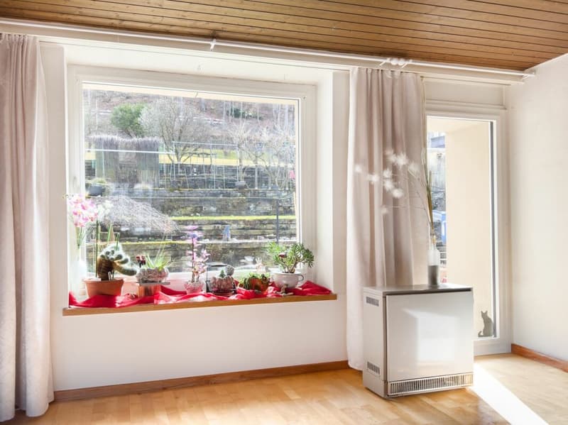 Casa a schiera di 4,5 locali su un terreno eccezionalmente spazioso di 948 m² (5)