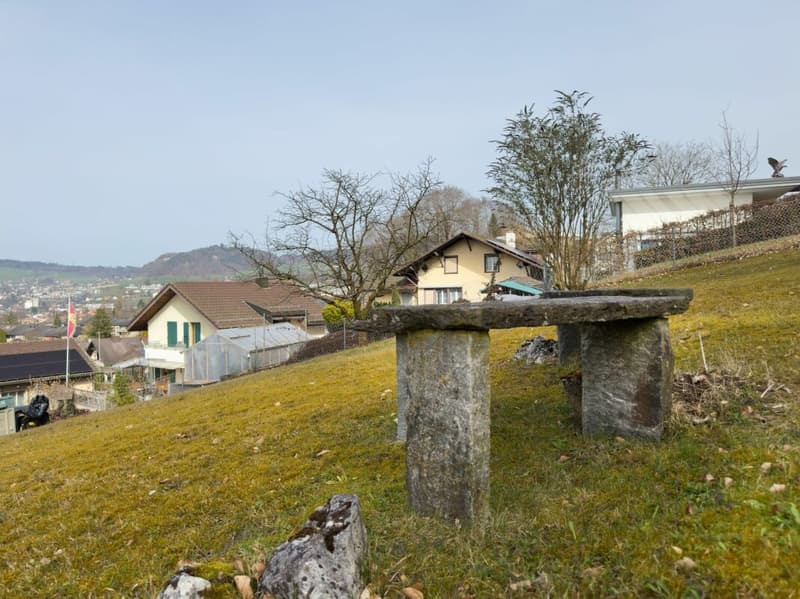 Casa a schiera di 4,5 locali su un terreno eccezionalmente spazioso di 948 m² (17)