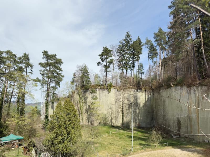 Casa a schiera di 4,5 locali su un terreno eccezionalmente spazioso di 948 m² (28)