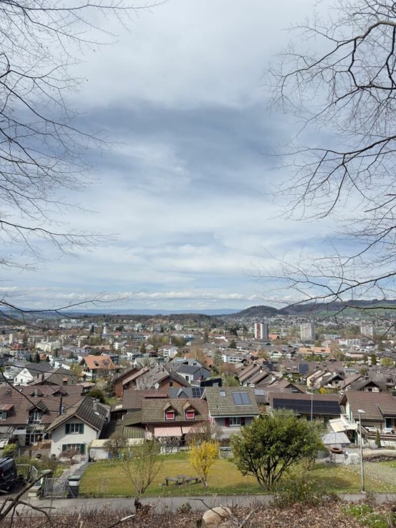 Casa a schiera di 4,5 locali su un terreno eccezionalmente spazioso di 948 m² (20)