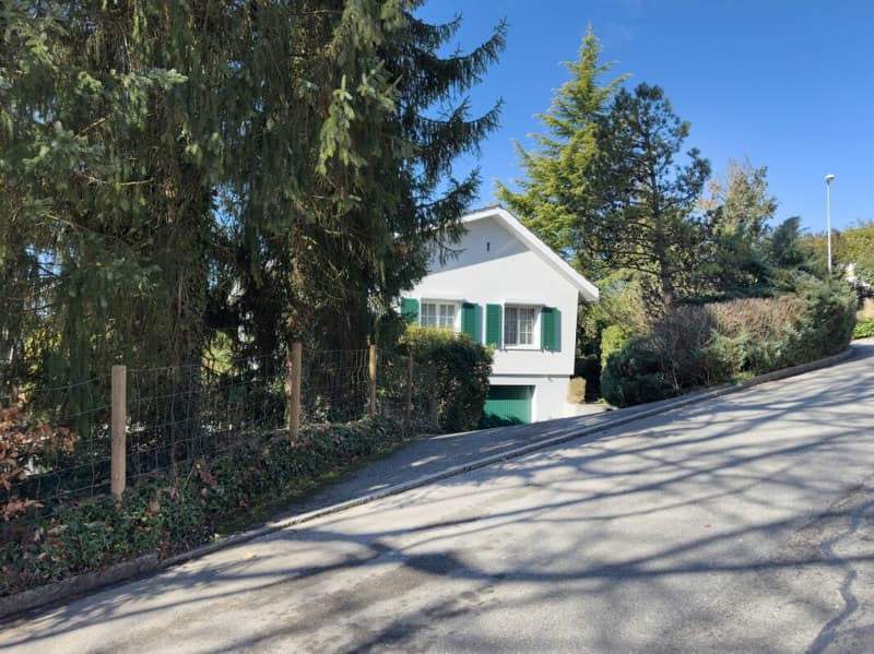 Freistehendes 6-Zimmer Einfamilienhaus im Landhausstil mit Swimmingpool und Garage sowie 3-4 Aussenparkplätzen (29)