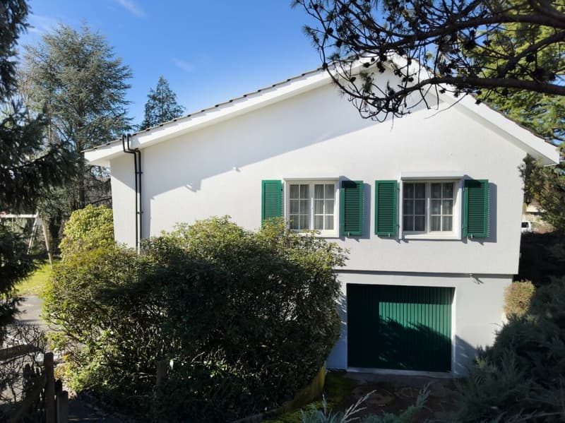 Freistehendes 6-Zimmer Einfamilienhaus im Landhausstil mit Swimmingpool und Garage sowie 3-4 Aussenparkplätzen (31)