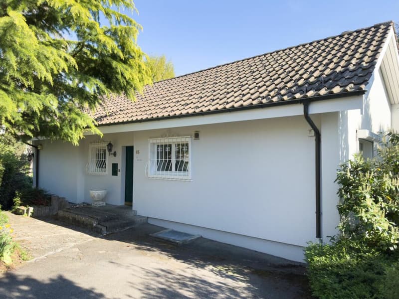 Freistehendes 6-Zimmer Einfamilienhaus im Landhausstil mit Swimmingpool und Garage sowie 3-4 Aussenparkplätzen (32)