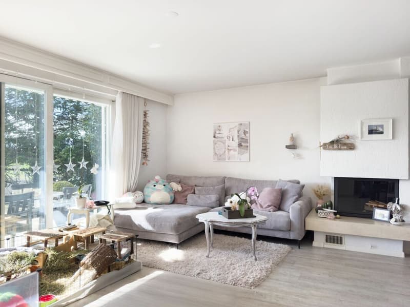 Freistehendes 6-Zimmer Einfamilienhaus im Landhausstil mit Swimmingpool und Garage sowie 3-4 Aussenparkplätzen (6)