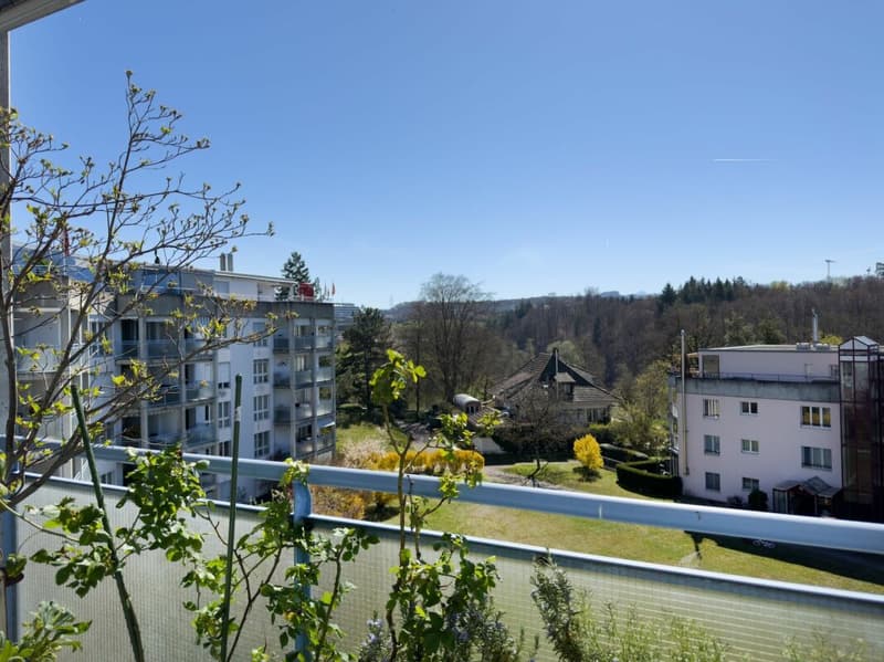 Wohnen in Aare-Nähe: Sonnige 2.5-Zimmerwohnung mit Balkon und Weitsicht (4)