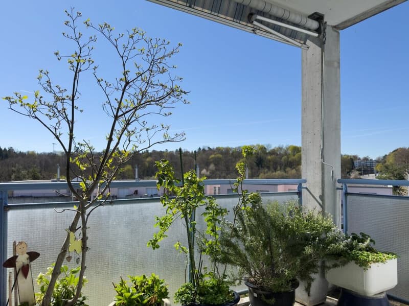 Wohnen in Aare-Nähe: Sonnige 2.5-Zimmerwohnung mit Balkon und Weitsicht (14)