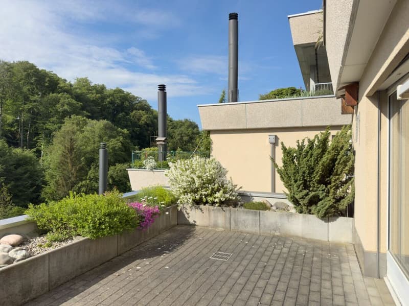 Terrassenhaus an sonniger und unverbaubarer Aussichtslage (14)