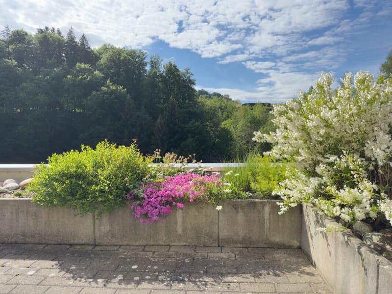 Terrassenhaus an sonniger und unverbaubarer Aussichtslage (16)