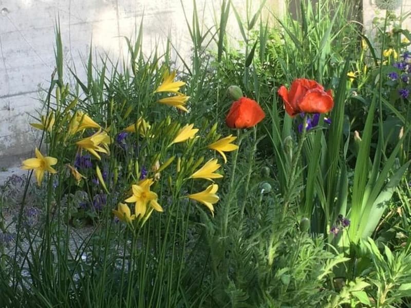 Wohnen wie im eigenen Haus. Sonnig, stadtnah und Privatsphäre inklusive (13)