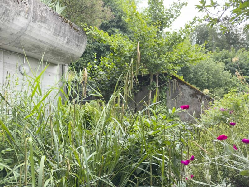 Wohnen wie im eigenen Haus. Sonnig, stadtnah und Privatsphäre inklusive (18)