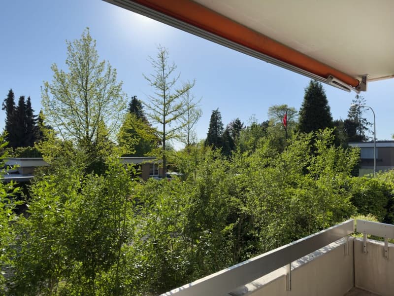 Sonnige 3.5-Zimmer-Eigentumswohnung 80 m² mit Balkon, 19 m² Bastelraum/Studio und Einstellhallenplatz (5)