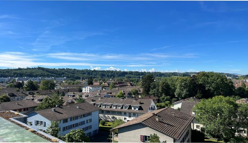 Sonnige 3.5-Zimmer-Eigentumswohnung mit Balkon, Keller und Einstellhallenplatz (20)