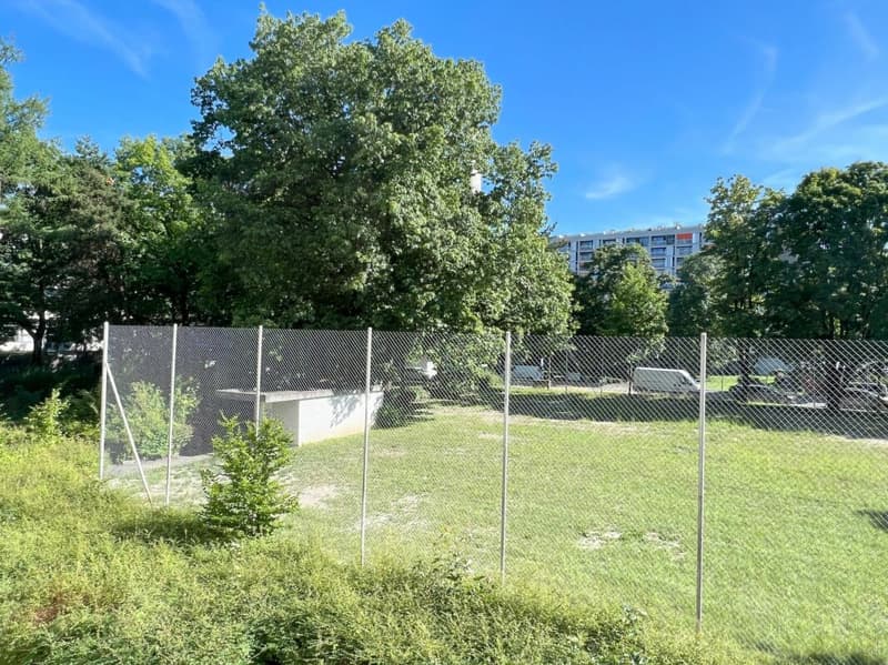 Sonnige 3.5-Zimmer-Eigentumswohnung mit Balkon, Keller und Einstellhallenplatz (24)