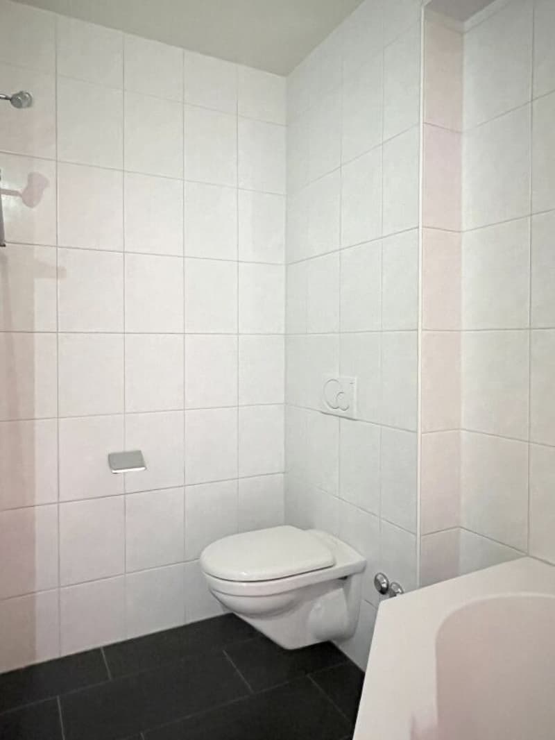 Sonnige 3.5-Zimmer-Eigentumswohnung mit Balkon, Keller und Einstellhallenplatz (9)