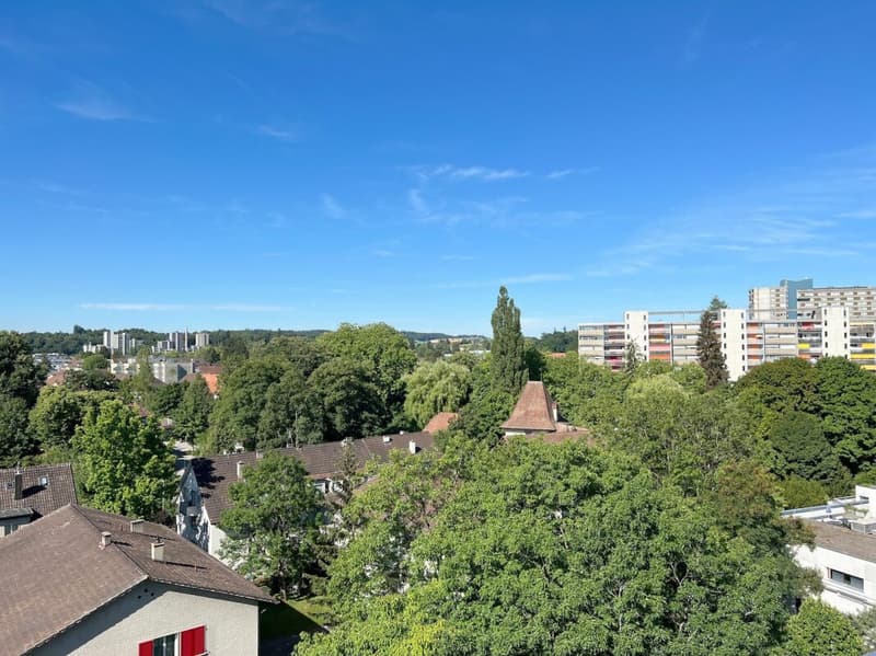 Sonnige 3.5-Zimmer-Eigentumswohnung mit Balkon, Keller und Einstellhallenplatz (23)