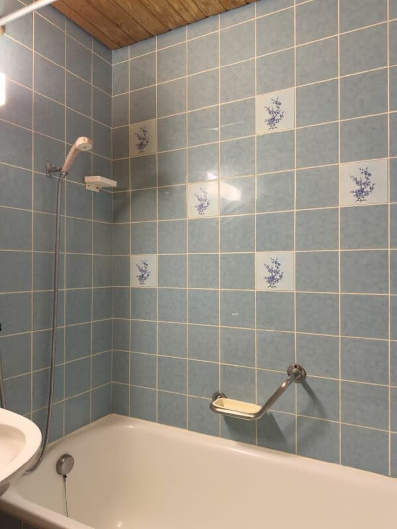 3.5-Zimmer-Reihenhaus, ursprünglich 4.5-Zimmer, mit pflegeleichtem Umschwung, Einzelgarage und schöner Aussichtslage am Tor zur Stadt Thun (13)