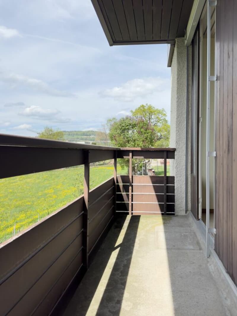 3.5-Zimmer-Reihenhaus, ursprünglich 4.5-Zimmer, mit pflegeleichtem Umschwung, Einzelgarage und schöner Aussichtslage am Tor zur Stadt Thun (14)