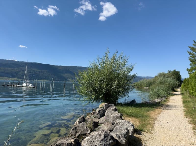Grosse Baulandparzelle am Bielersee mit Potenzial. Erst- und Zweitwohnsitz möglich! (20)