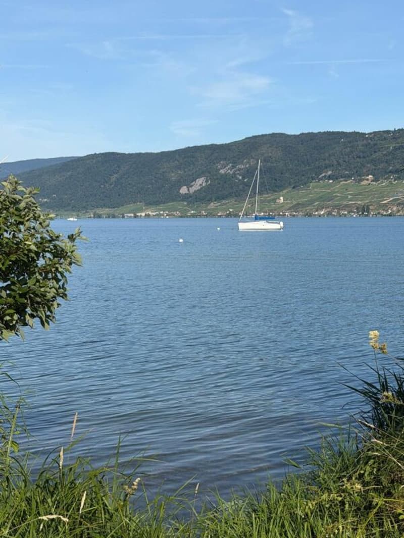 Grosse Baulandparzelle am Bielersee mit Potenzial. Erst- und Zweitwohnsitz möglich! (21)