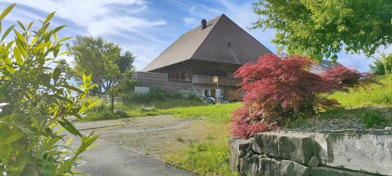 Einseitig angebautes 5.5-Zimmer-Doppeleinfamilienhaus mit pflegeleichtem Umschwung, Aussenparkplatz und Carport (25)