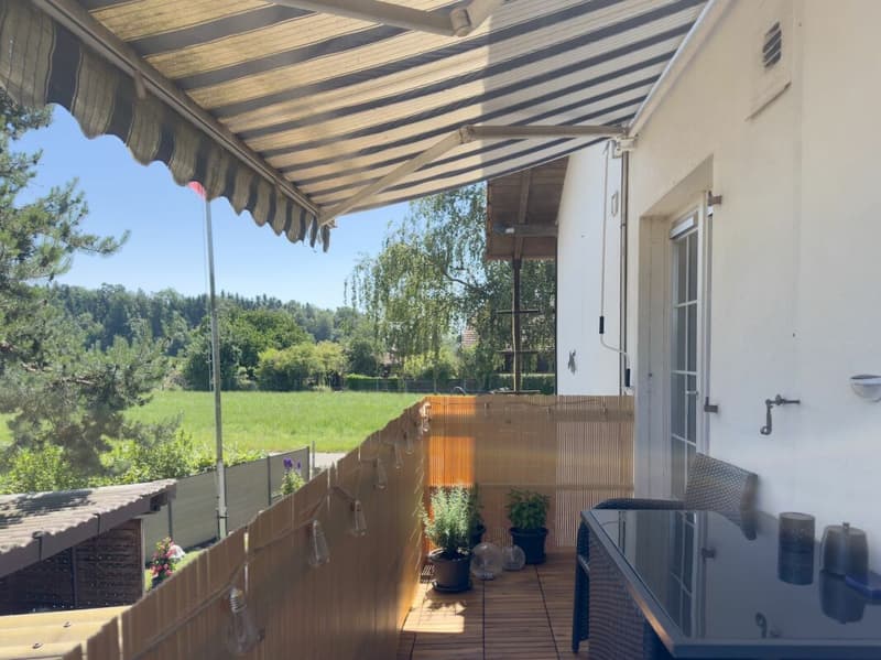 Freistehendes 6.5-Zimmer-Einfamilienhaus mit Wintergarten, Werkstatt und vielseitigen Nebengebäuden (17)
