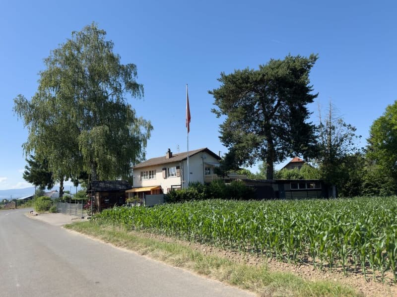 Freistehendes 6.5-Zimmer-Einfamilienhaus mit Wintergarten, Werkstatt und vielseitigen Nebengebäuden (26)
