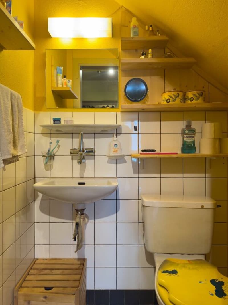 Freistehendes 6.5-Zimmer-Einfamilienhaus mit Wintergarten, Werkstatt und vielseitigen Nebengebäuden (10)