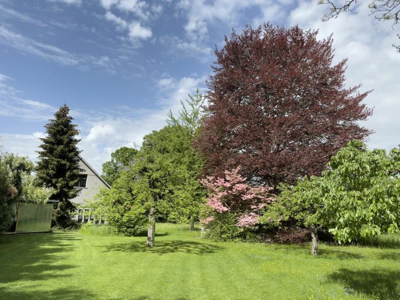 Modern ausgebaute 2.5-Zimmer-Duplexwohnung mit einzigartiger Wohnqualität, gemütlicher Loggia, Einstellhallenplatz und vielfältigen Annehmlichkeiten im Schlosspark (35)