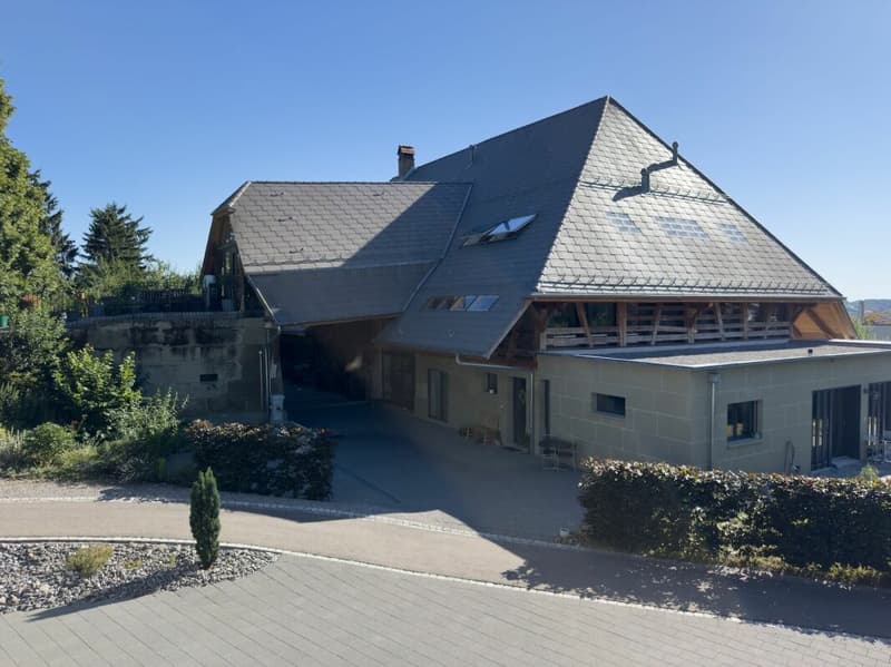 Exklusive Loftwohnung mit sonnigen Aussenräumen, unverbaubarer Aussicht, XXL-Garage und gedecktem Aussenparkplatz (17)