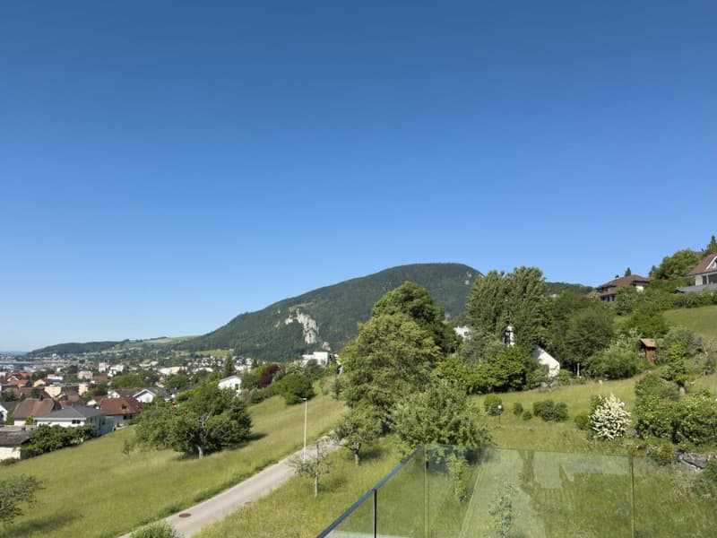Ein Ensemble mit WOW-Effekt an unverbaubarer Panorama-Aussichtslage (32)