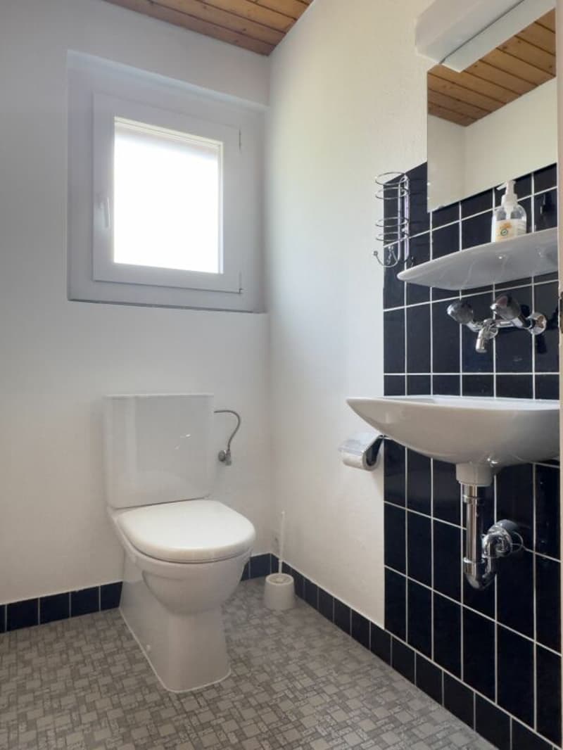 Freistehendes 6-Zimmer-Einfamilienhaus mit schöner Gartenanlage, Balkon, Garage und Vorplatz mit Parkplatzmöglichkeiten (16)