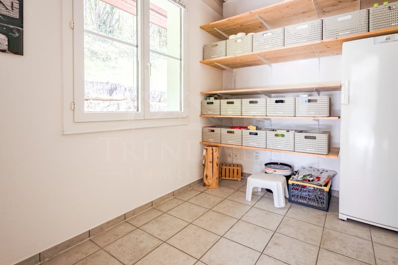5.5-Zimmer Einfamilienhaus mit Terrasse und Aussicht in Trimbach (5)