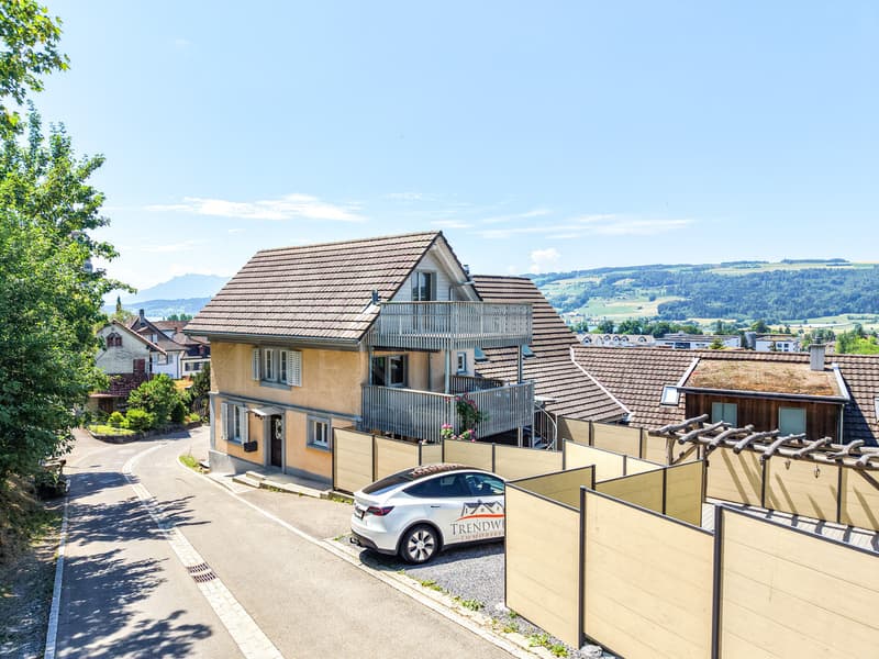 Gepflegtes 4.5-Zimmer-Doppeleinfamilienhaus mit Garten in Hitzkirch (1)