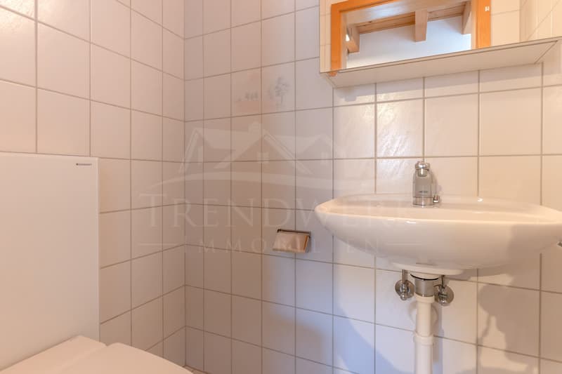 5.5-Zimmer-Eigentumswohnung mit Alpenblick in Freimettigen (8)