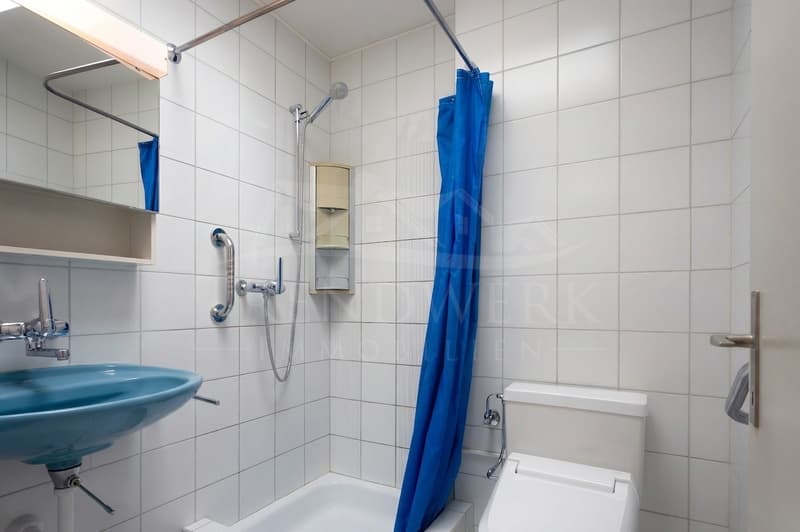 Ruhiges 6-Zimmer-Reiheneinfamilienhaus mit Pool & Garage in Wünnewil (11)