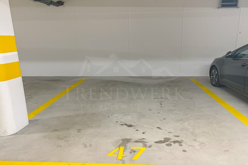 Grosszügige 5.5-Zimmer-Eigentumswohnung in Aarburg (12)