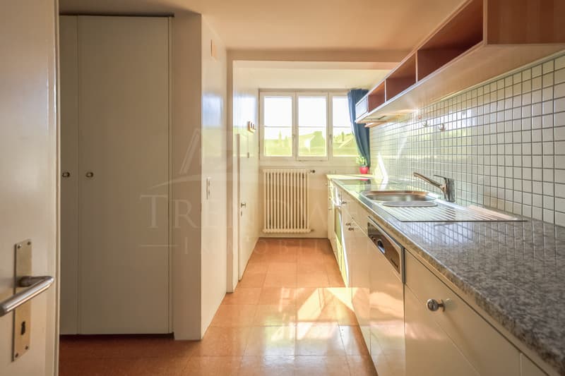 Grosszügige 5.5-Zimmer-Eigentumswohnung in Aarburg (8)