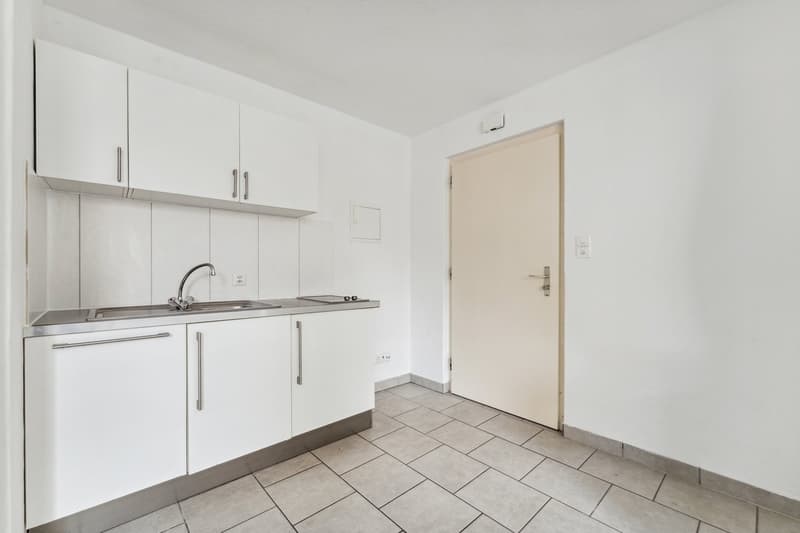 Magnifique appartement d'une pièce (2)