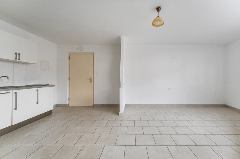 Magnifique appartement d'une pièce (3)