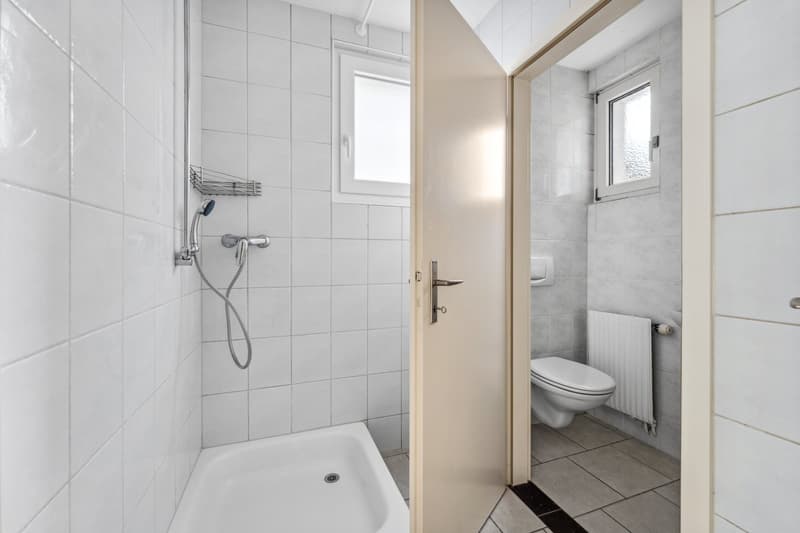 Magnifique appartement d'une pièce (4)