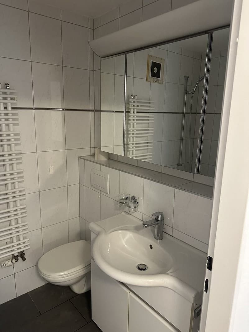 3-Zimmer-Wohnung im 2. Stock in Bad Zurzach zu vermieten ab sofort (9)
